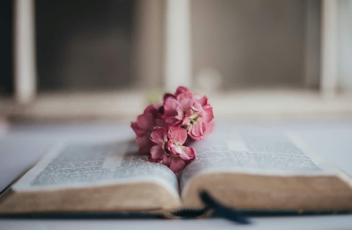 Open Bible and journal
